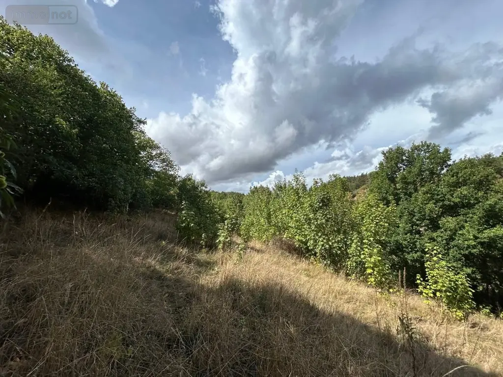 Terrains de loisirs bois etangs a vendre Château-Gontier-sur-Mayenne 53200 Mayenne 53 8900 euros 028/2218 002