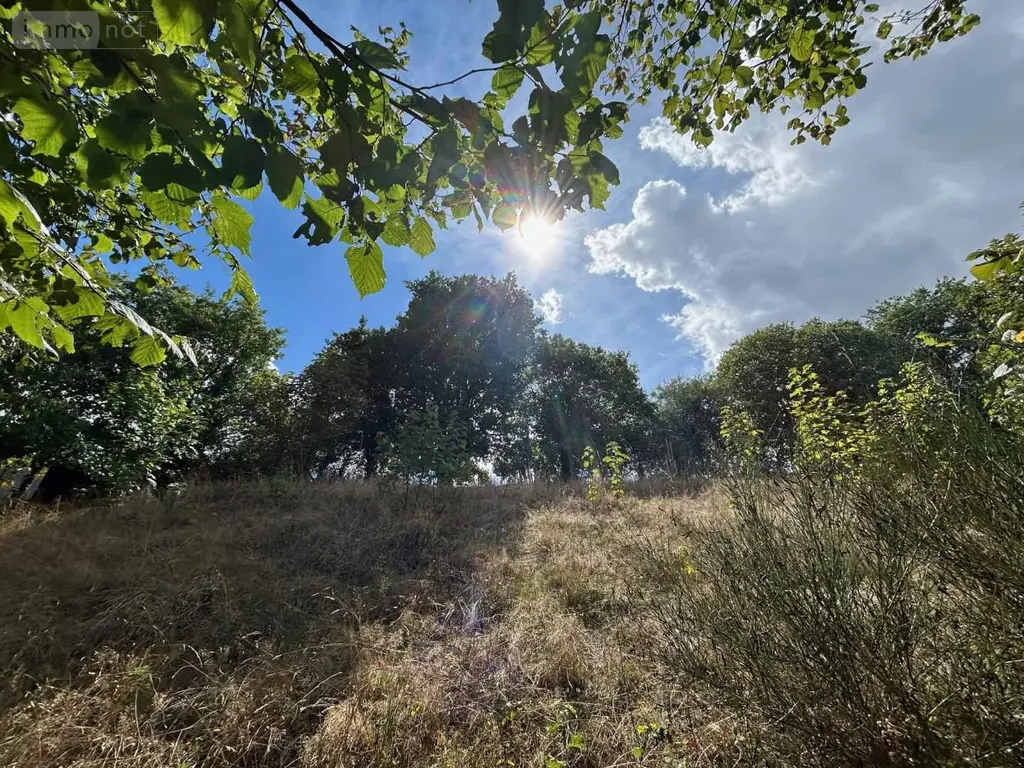 Terrains de loisirs bois etangs a vendre Château-Gontier-sur-Mayenne 53200 Mayenne 53 8900 euros 028/2218 003