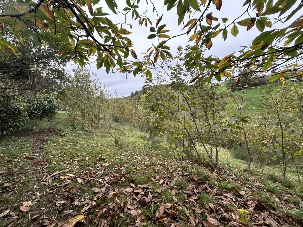 Terrains de loisirs bois etangs a vendre Château-Gontier-sur-Mayenne 53200 Mayenne 53 8900 euros 028/2218 004
