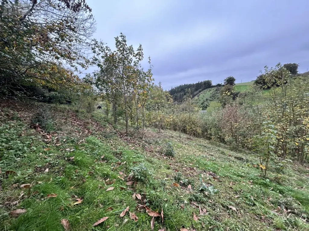 Terrains de loisirs bois etangs a vendre Château-Gontier-sur-Mayenne 53200 Mayenne 53 8900 euros 028/2218 005