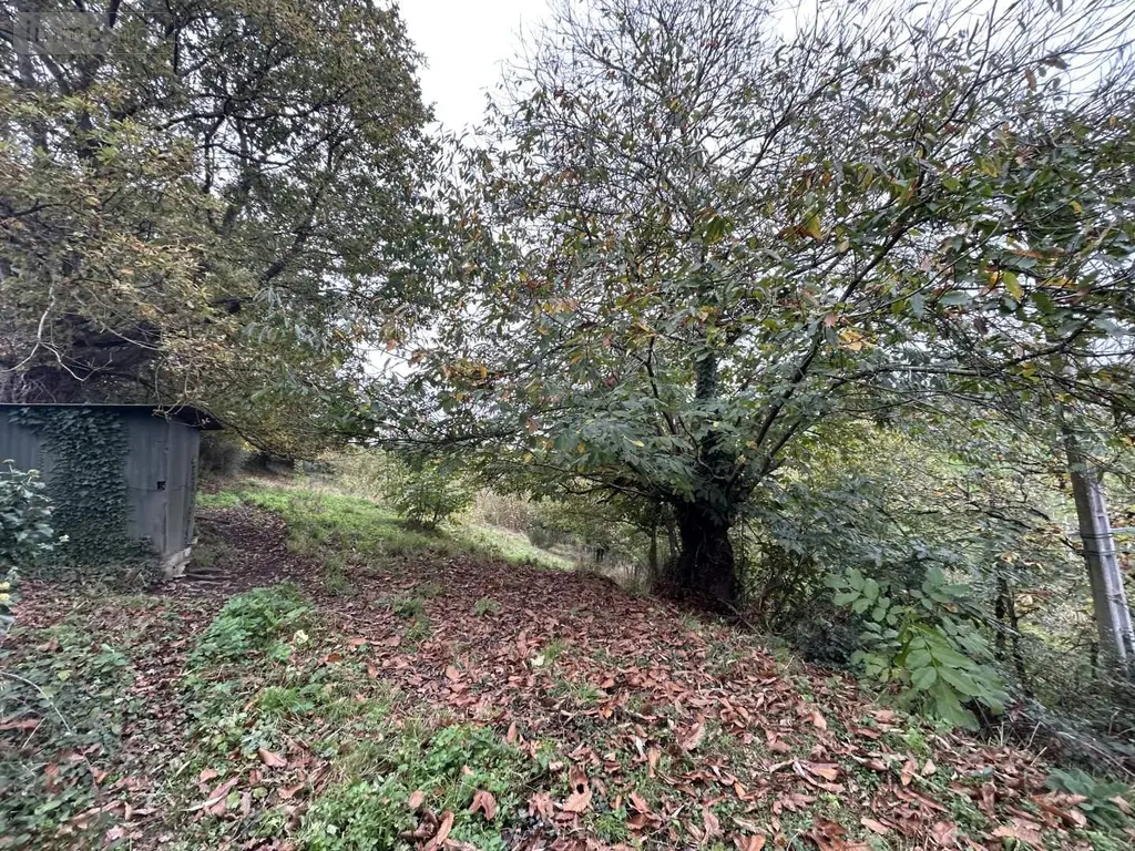 Terrains de loisirs bois etangs a vendre Château-Gontier-sur-Mayenne 53200 Mayenne 53 8900 euros 028/2218 006