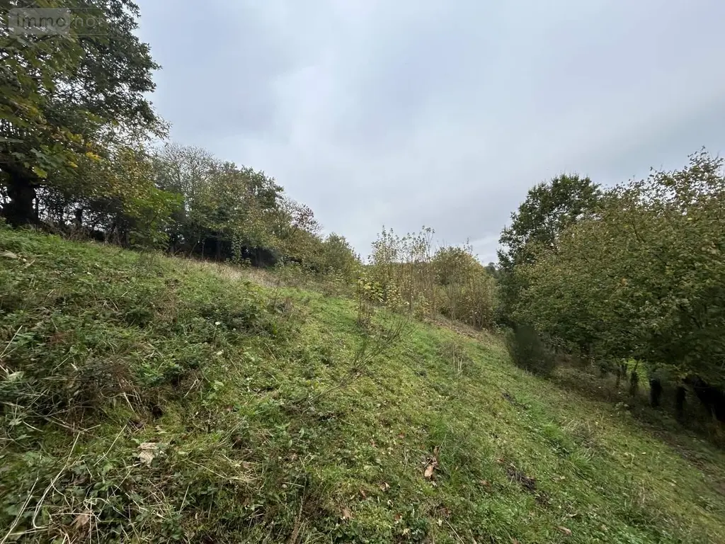 Terrains de loisirs bois etangs a vendre Château-Gontier-sur-Mayenne 53200 Mayenne 53 8900 euros 028/2218 007