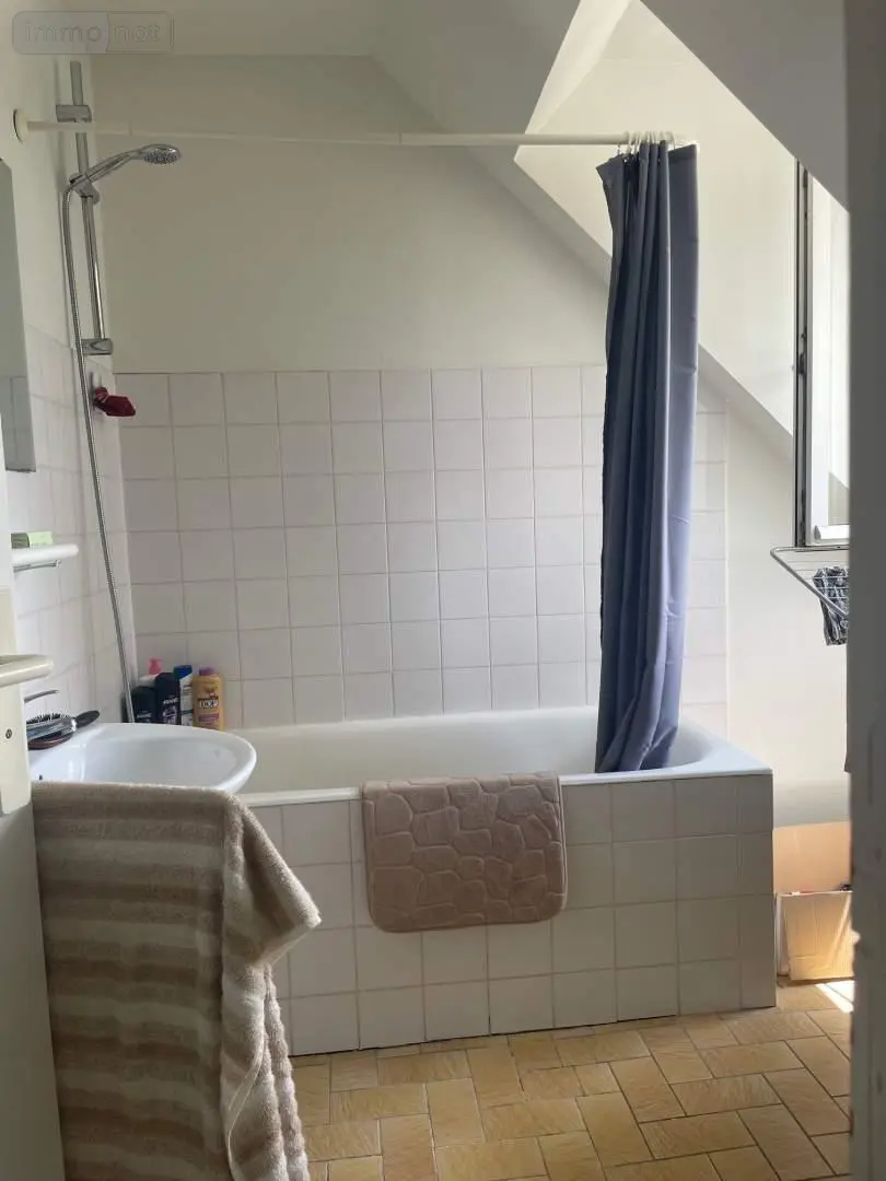 Immeuble de rapport a vendre Mayenne 53100 Mayenne 53 308 m2 12 pièces 311700 euros 046/886 006