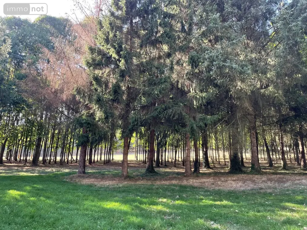 Terrains de loisirs bois etangs a vendre Oisseau 53300 Mayenne 53 167200 euros 046/894 002