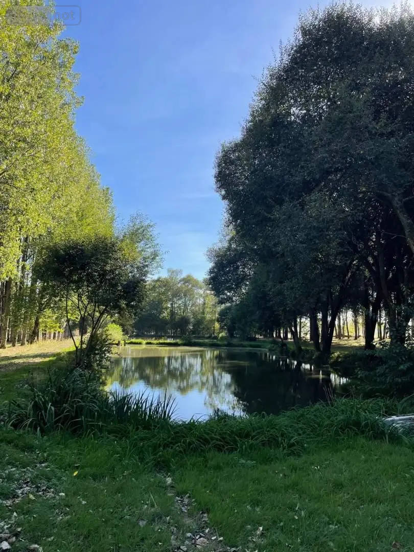 Terrains de loisirs bois etangs a vendre Oisseau 53300 Mayenne 53 167200 euros 046/894 003
