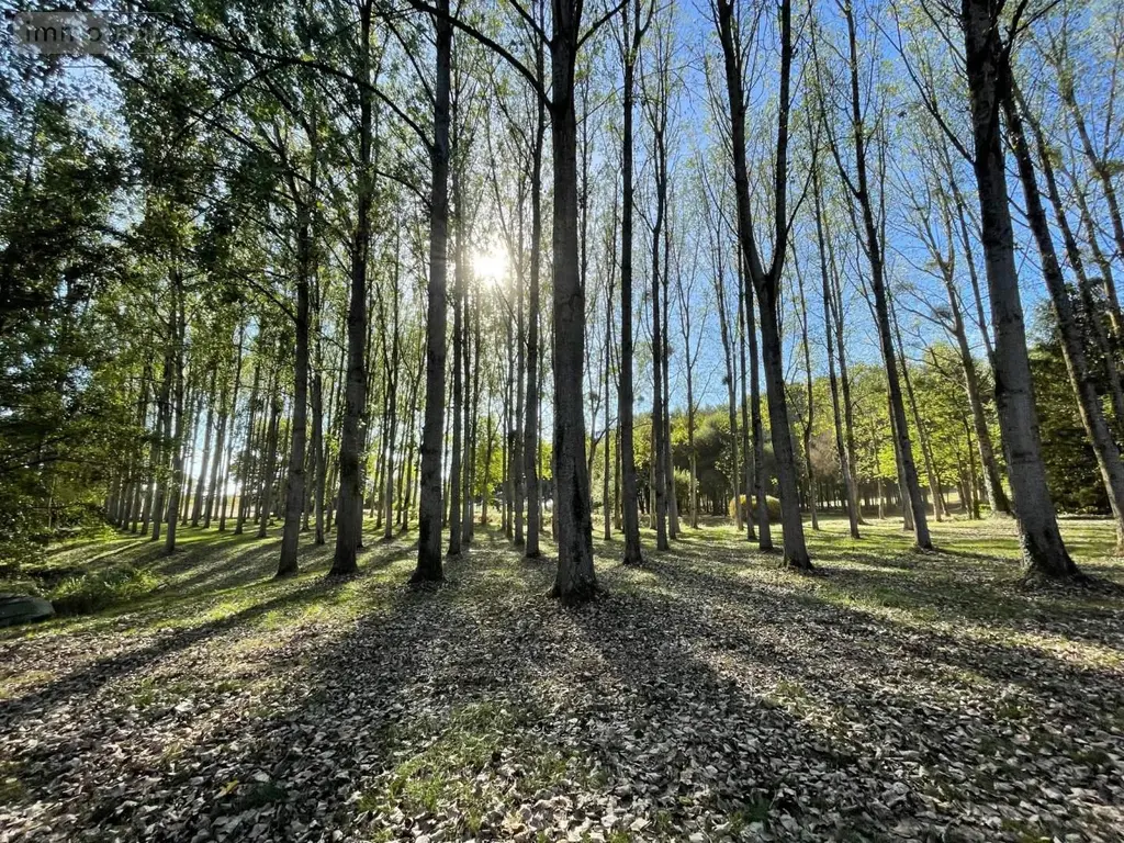Terrains de loisirs bois etangs a vendre Oisseau 53300 Mayenne 53 167200 euros 046/894 005