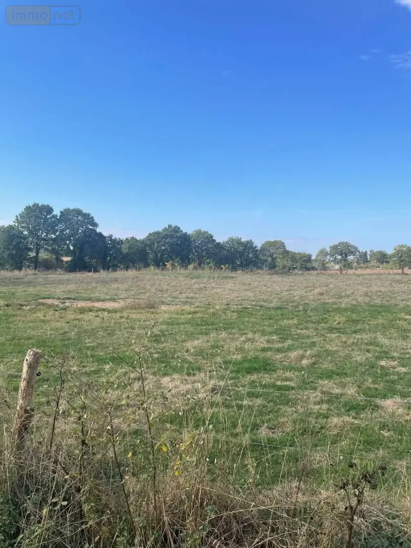 Terrain a batir a vendre Saint-Baudelle 53100 Mayenne 53 300 m2 31000 euros 046/895 002