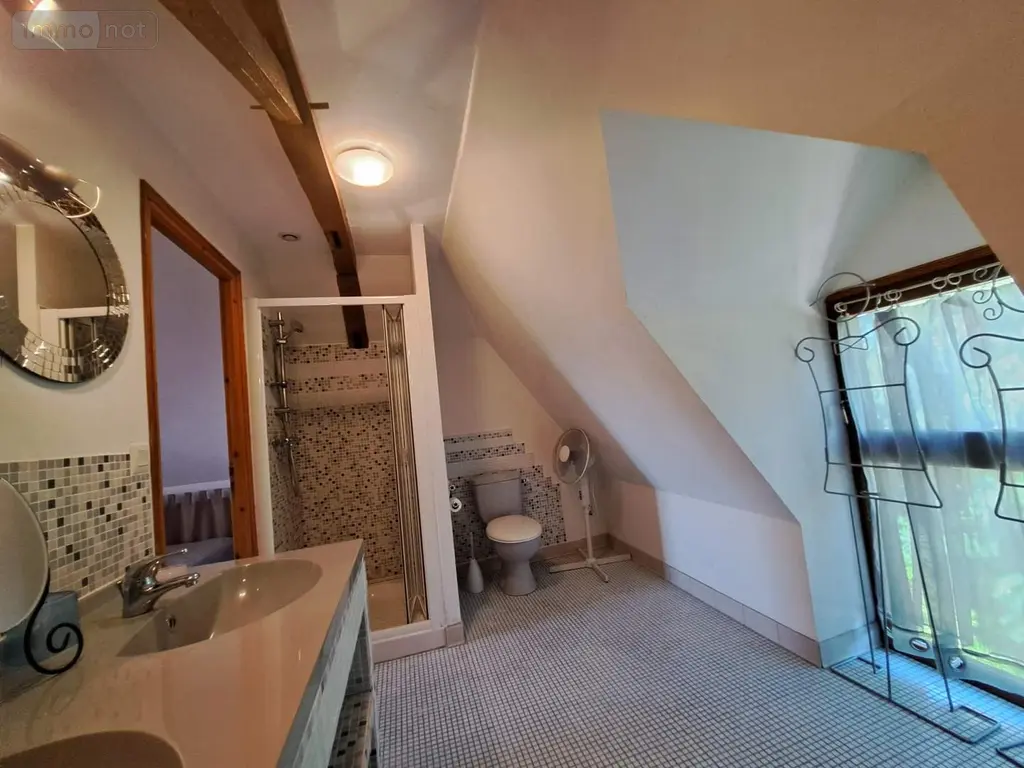 Propriete a vendre Livré-la-Touche 53400 Mayenne 53 320 m2 11 pièces 363800 euros 076/2711-GIL 013