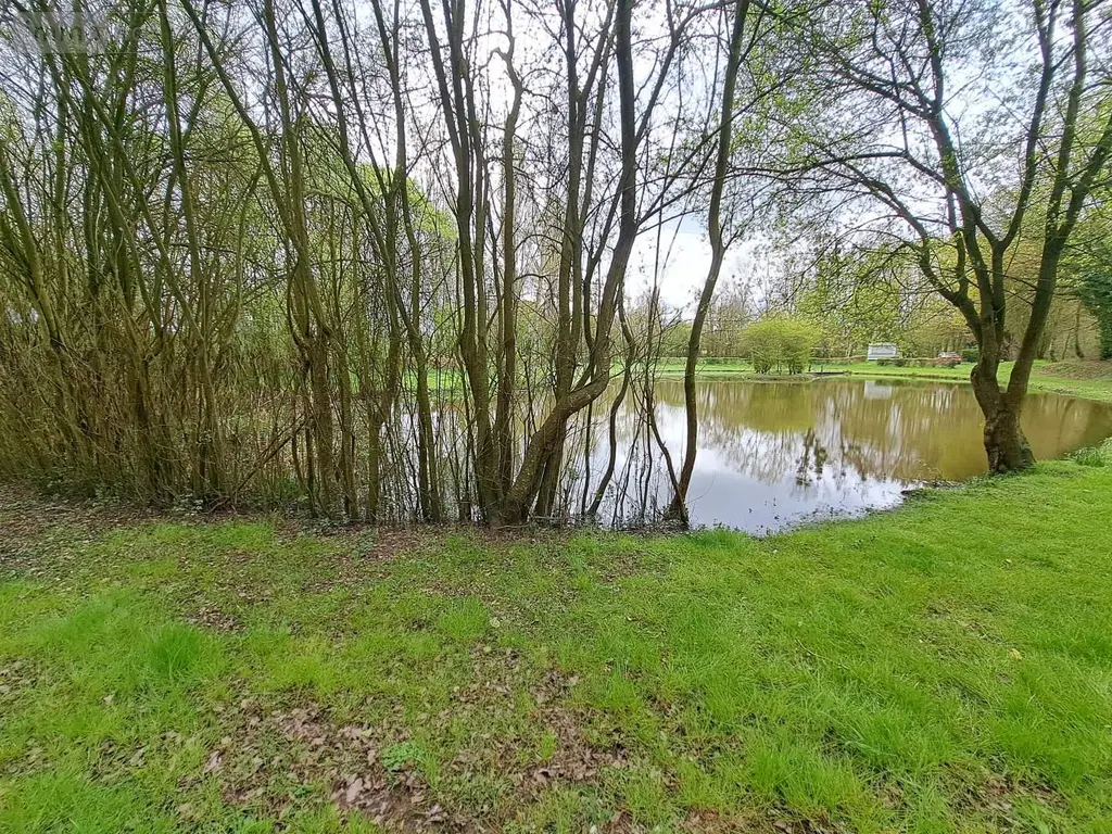 Terrains de loisirs bois etangs a vendre Prée-d'Anjou 53200 Mayenne 53 63360 euros 076/2758-MAD 002