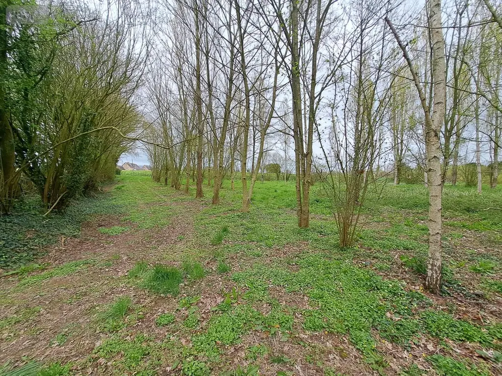Terrains de loisirs bois etangs a vendre Prée-d'Anjou 53200 Mayenne 53 63360 euros 076/2758-MAD 003
