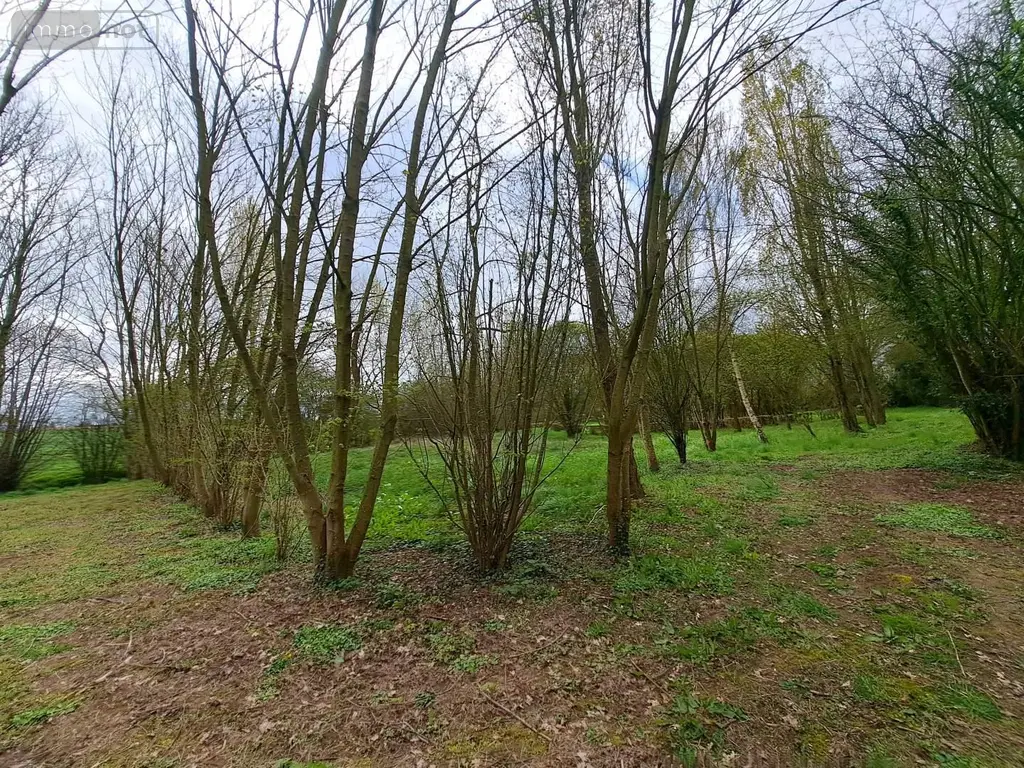 Terrains de loisirs bois etangs a vendre Prée-d'Anjou 53200 Mayenne 53 63360 euros 076/2758-MAD 004