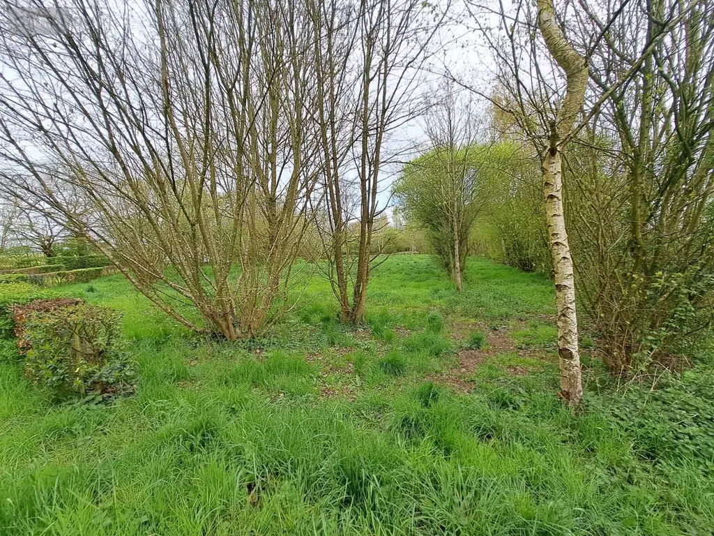 Terrains de loisirs bois etangs a vendre Prée-d'Anjou 53200 Mayenne 53 63360 euros 076/2758-MAD 005