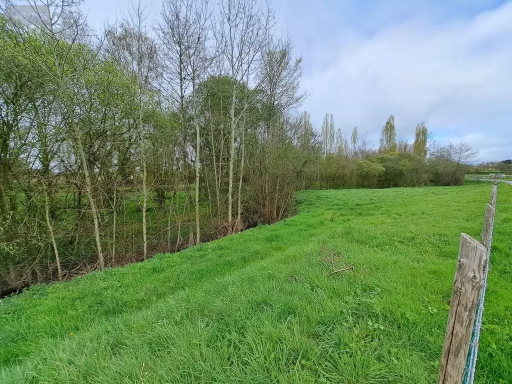Terrains de loisirs bois etangs a vendre Prée-d'Anjou 53200 Mayenne 53 63360 euros 076/2758-MAD 006