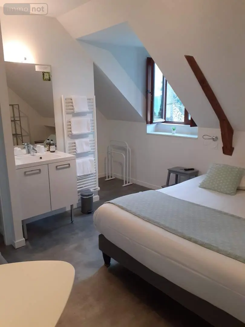 Fonds et murs commerciaux a vendre Pluherlin 56220 Morbihan 56 377 m2 13 pièces 988000 euros 152d 010