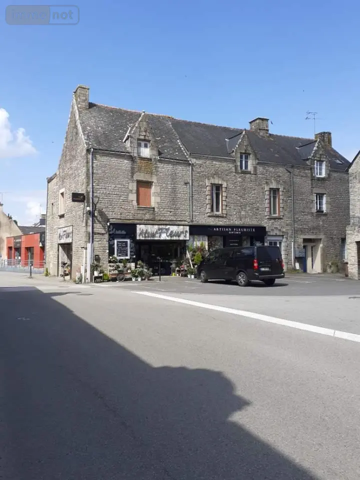 Immeuble de rapport a vendre Allaire 56350 Morbihan 56 520 m2 6 pièces 384800 euros 132c 001