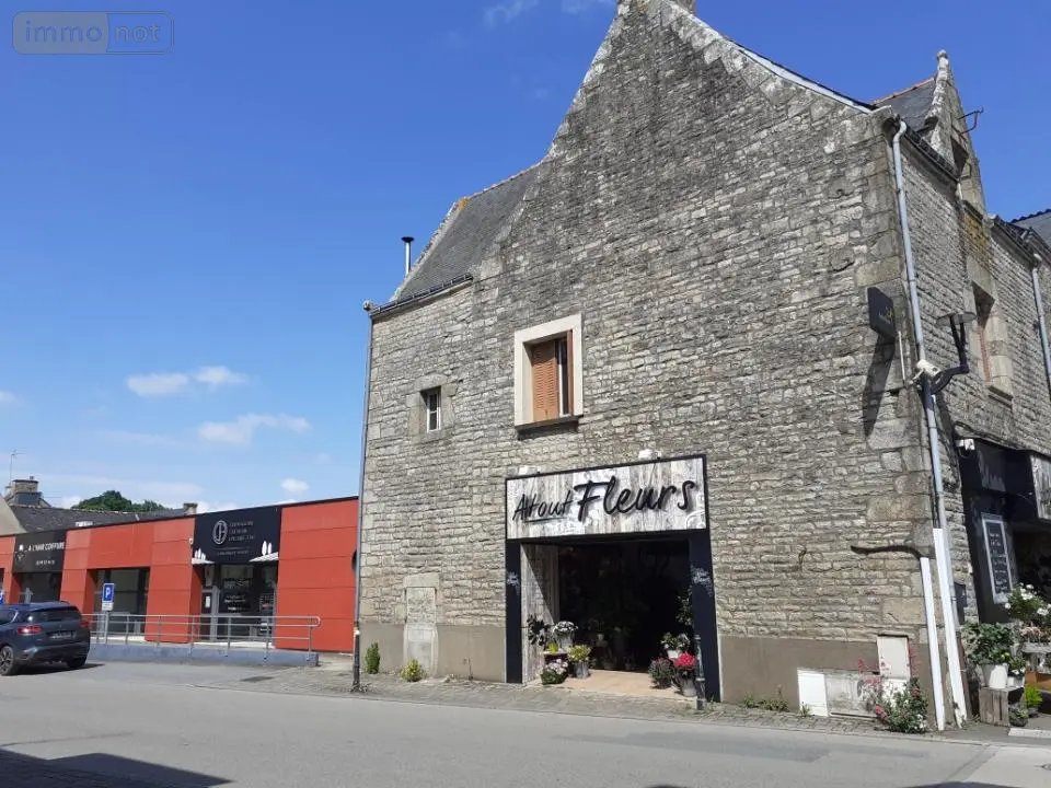 Immeuble de rapport a vendre Allaire 56350 Morbihan 56 520 m2 6 pièces 384800 euros 132c 002