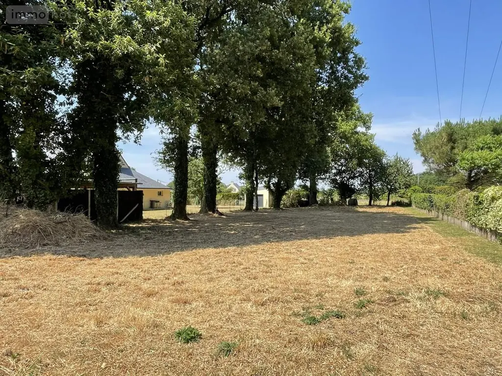 Terrain a batir a vendre Malansac 56220 Morbihan 56 990 m2 42400 euros 134a 002