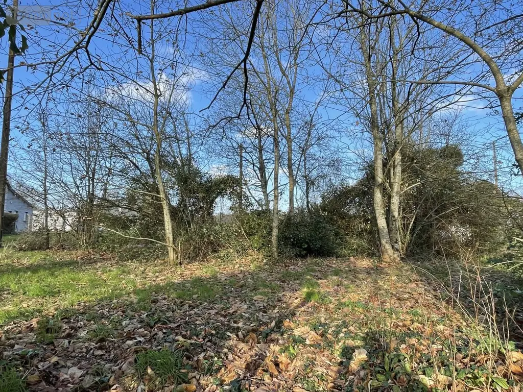 Terrain a batir a vendre La Gacilly 56200 Morbihan 56 818 m2 32400 euros 53b 004