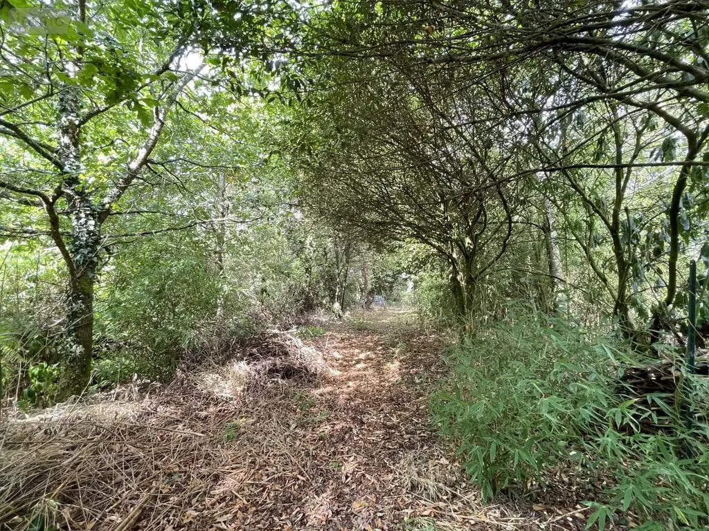 Propriete a vendre Rochefort-en-Terre 56220 Morbihan 56 40 m2 3 pièces 74200 euros 83b 010