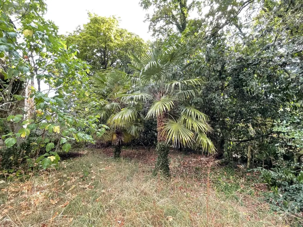 Propriete a vendre Rochefort-en-Terre 56220 Morbihan 56 40 m2 3 pièces 74200 euros 83b 008