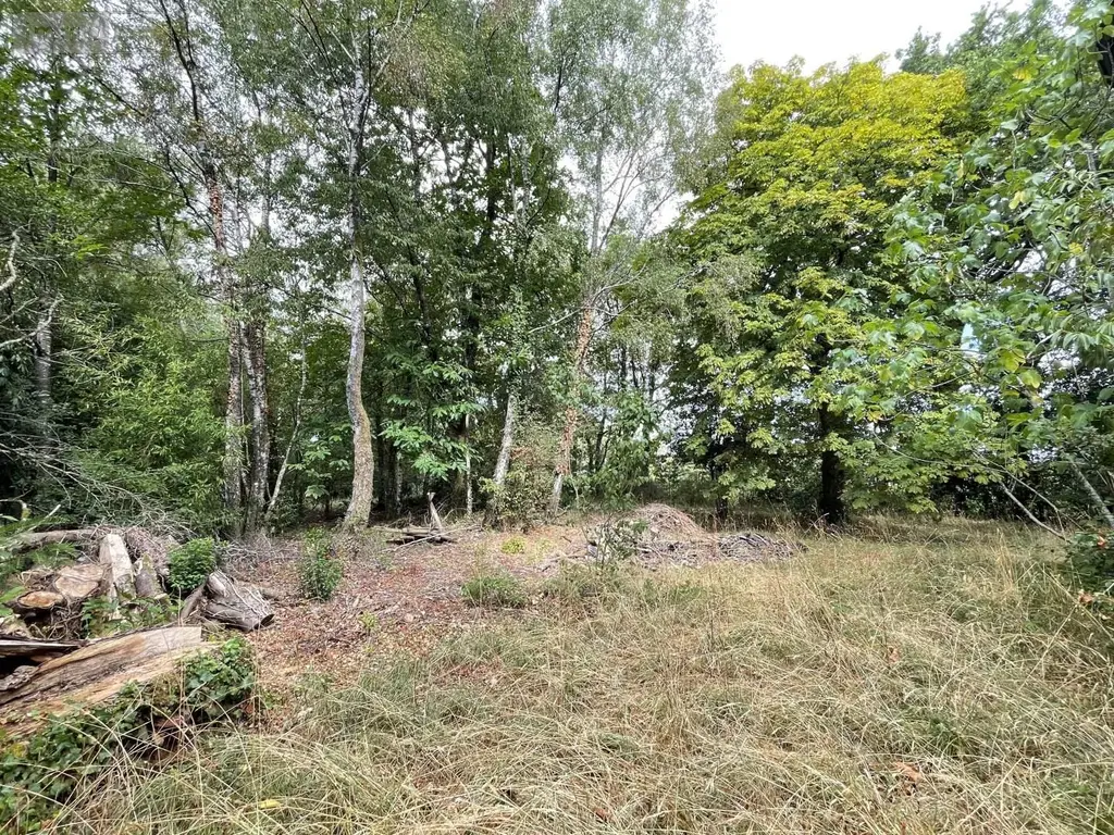 Propriete a vendre Rochefort-en-Terre 56220 Morbihan 56 40 m2 3 pièces 74200 euros 83b 009