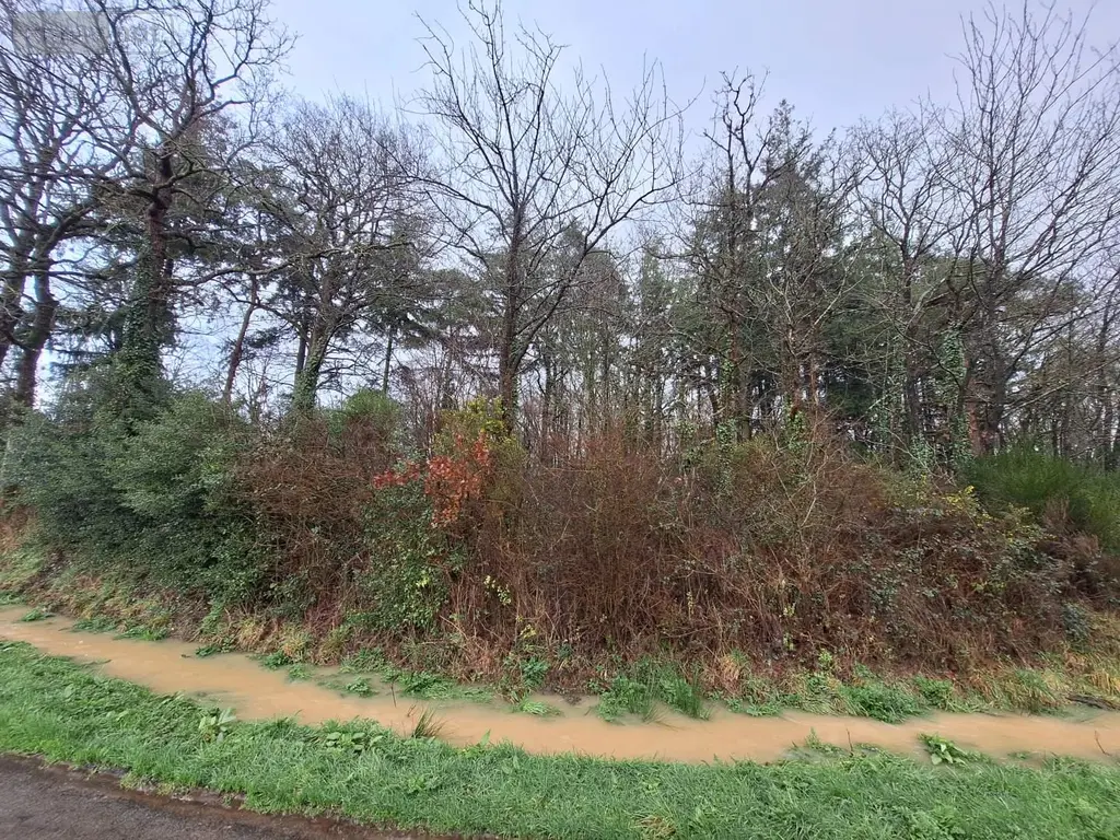 Terrains de loisirs bois etangs a vendre Néant-sur-Yvel 56430 Morbihan 56 8400 euros 05965 002