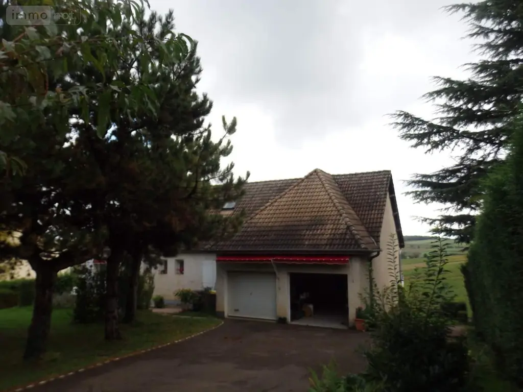 Viager maison Moroges 71390 Saône-et-Loire 71 118 m2 9 pièces 100000 euros 2-25 003