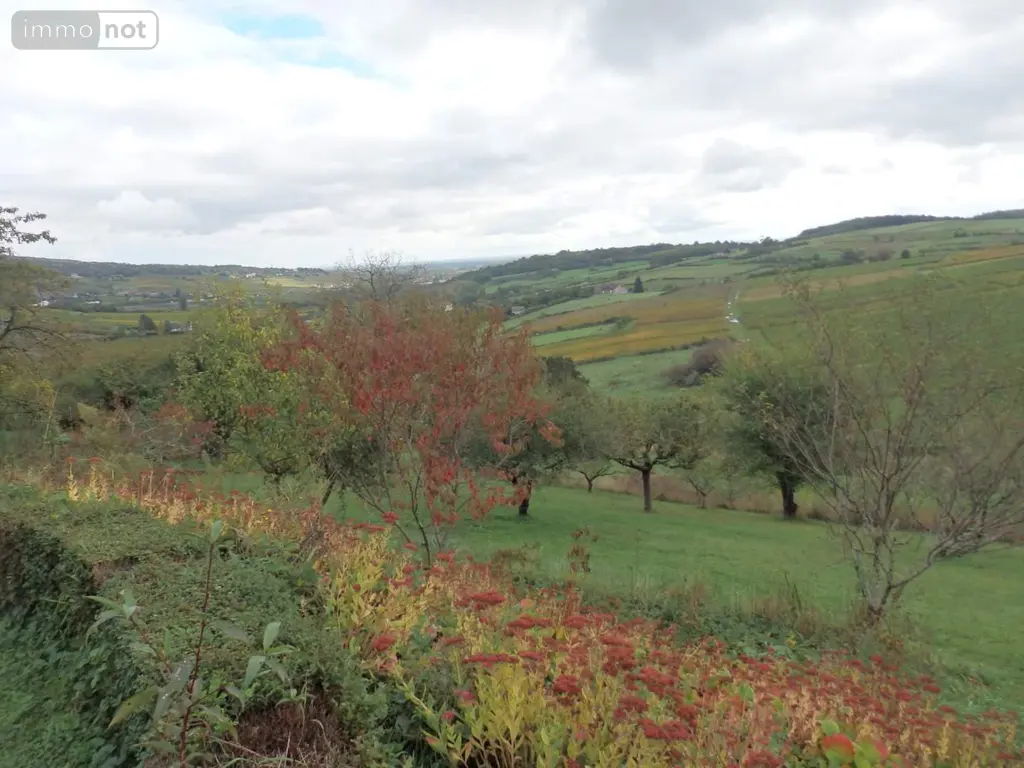 Viager maison Moroges 71390 Saône-et-Loire 71 118 m2 9 pièces 100000 euros 2-25 004