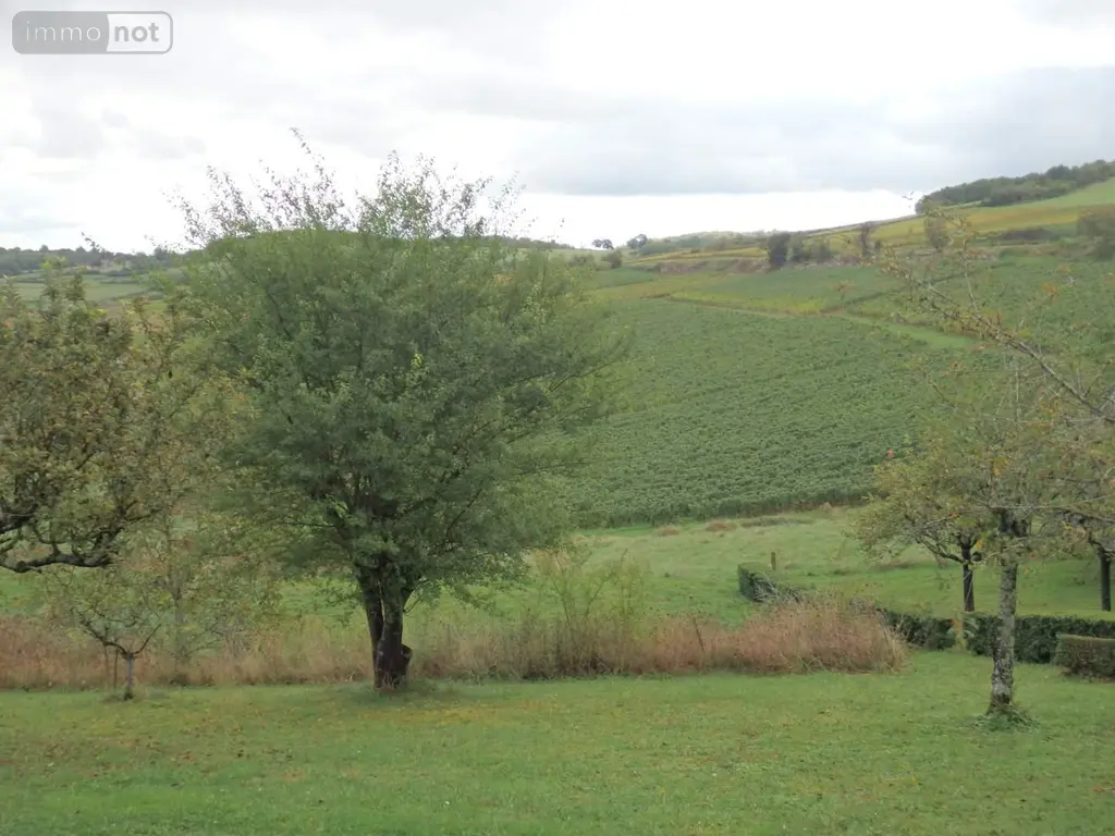 Viager maison Moroges 71390 Saône-et-Loire 71 118 m2 9 pièces 100000 euros 2-25 006
