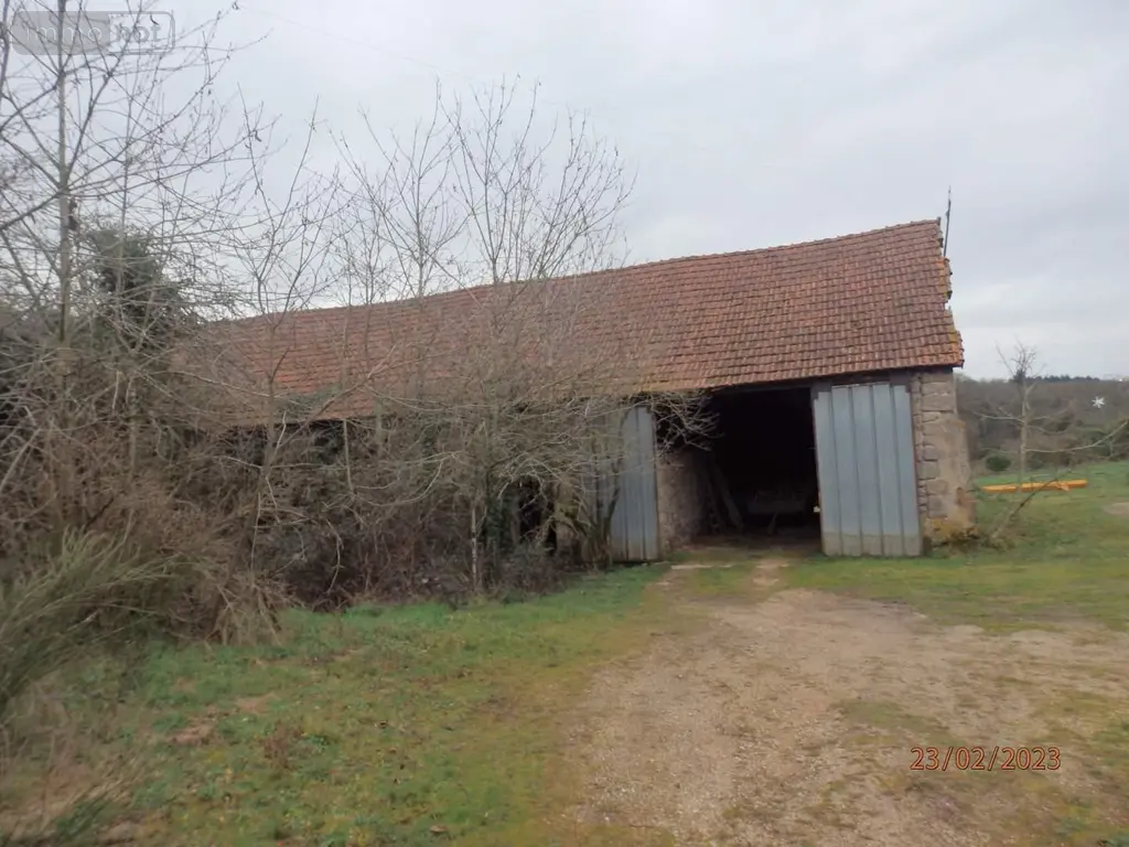 Maison a vendre La Tagnière 71190 Saône-et-Loire 71 20000 euros 5-25 003