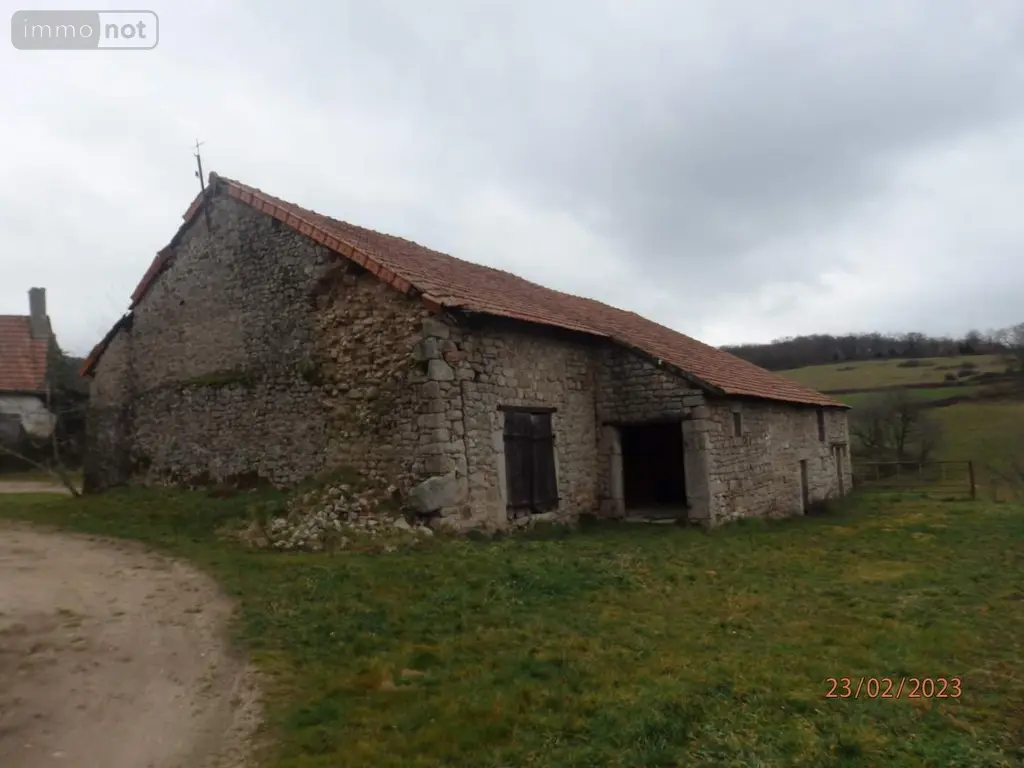 Maison a vendre La Tagnière 71190 Saône-et-Loire 71 20000 euros 5-25 006