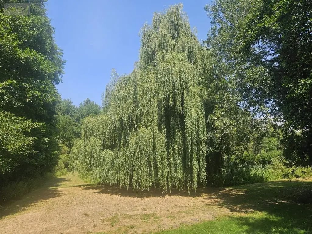 Terrains de loisirs bois etangs a vendre Vaas 72500 Sarthe 72 18000 euros 107472 005