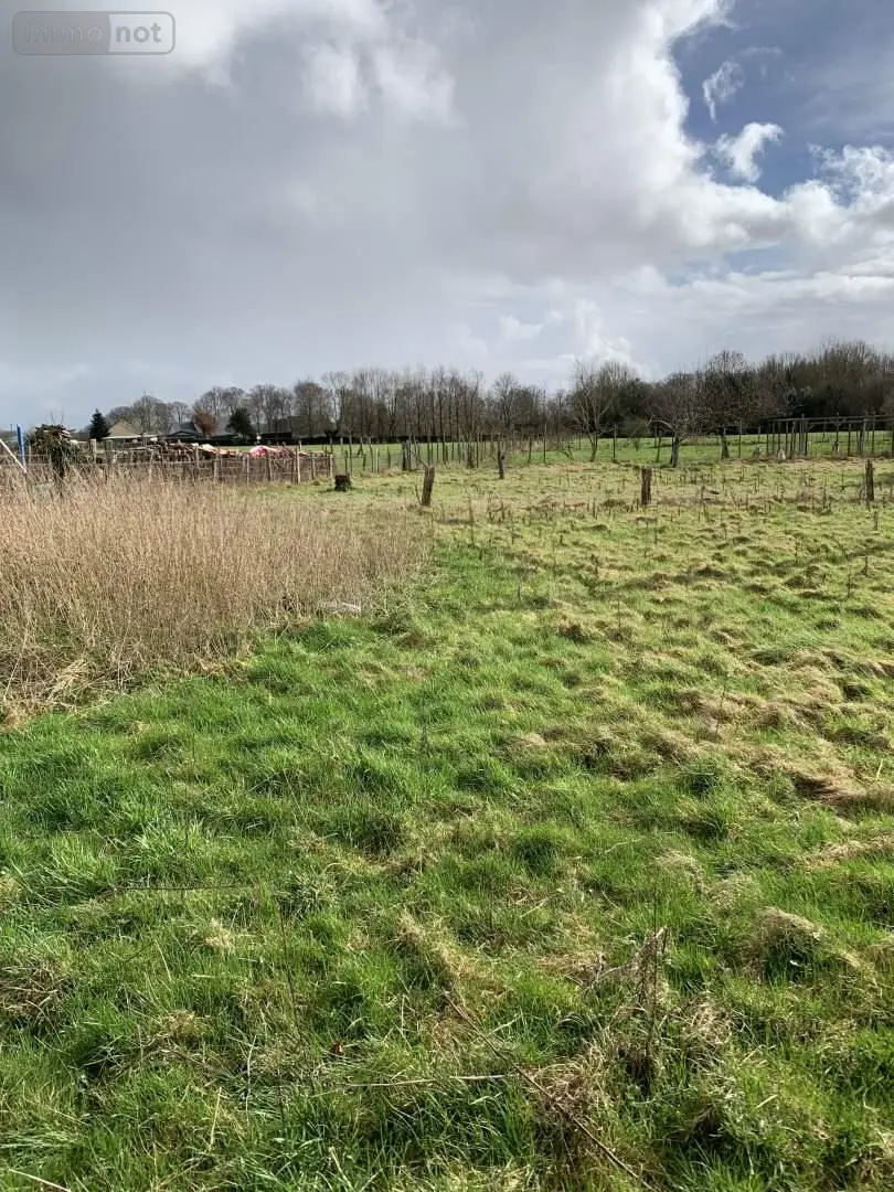 Terrain a batir a vendre Pommeréval 76680 Seine-Maritime 76 2571 m2 73080 euros 016/2393 LL 004