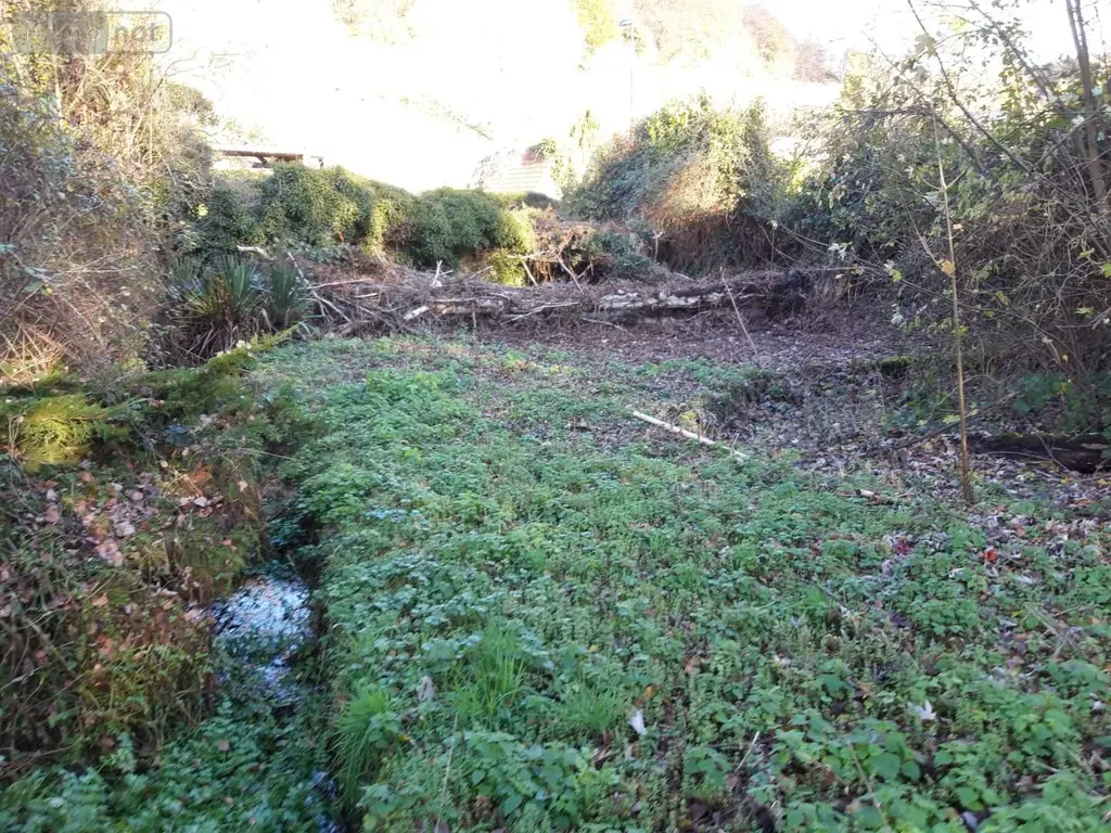Maison a vendre Bellencombre 76680 Seine-Maritime 76 135 m2 6 pièces 135000 euros YB/295 005