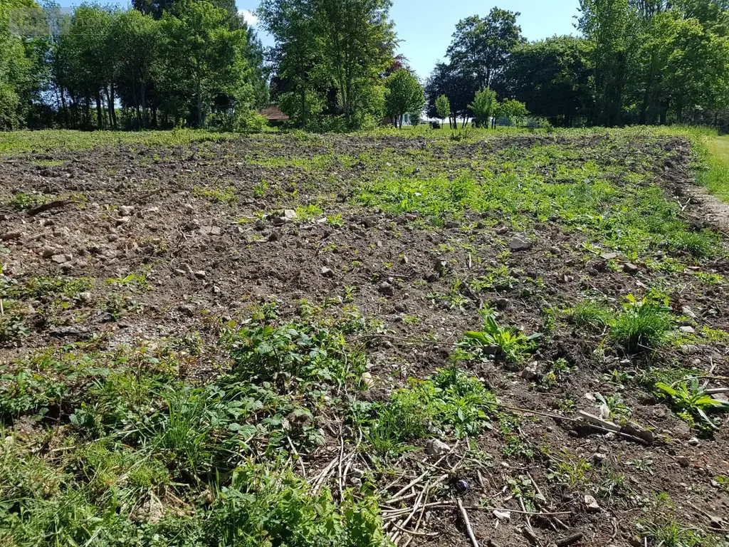 Terrain a batir a vendre Machy 80150 Somme 80 60 m2 1 pièce 52500 euros 113/1308 002
