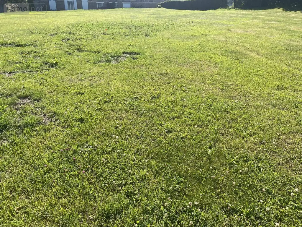 Terrain a batir a vendre Domvast 80150 Somme 80 699 m2 32500 euros 113/1570 005