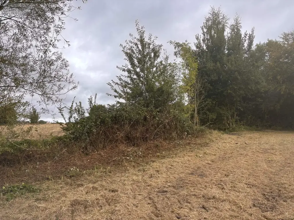 Terrain a batir a vendre Machy 80150 Somme 80 1211 m2 42500 euros 113/1746 005