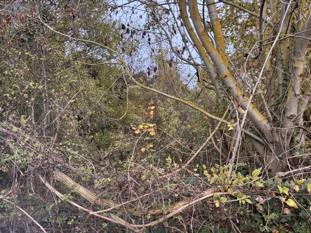 Terrains de loisirs bois etangs a vendre Auxi-le-Château 62390 Pas-de-Calais 62 23500 euros 113/1750 002