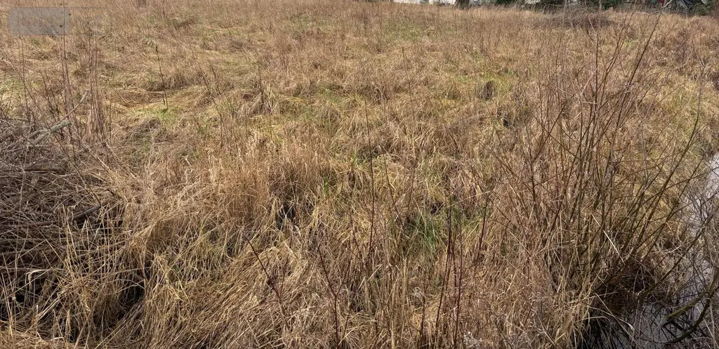 Terrain a batir a vendre Rue 80120 Somme 80 1000 m2 68400 euros 113/1765 002