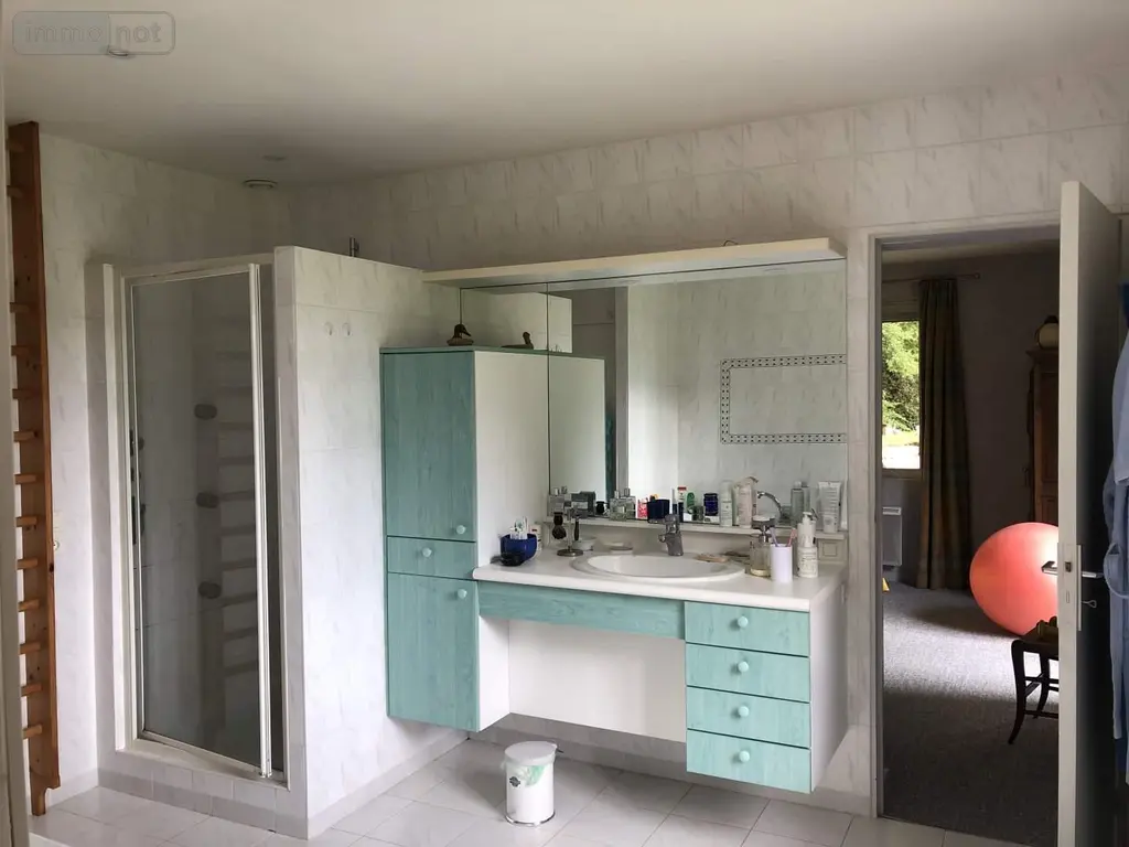 Maison a vendre Saint-Benoît 86280 Vienne 86 237 m2 7 pièces 577500 euros 018/965 013