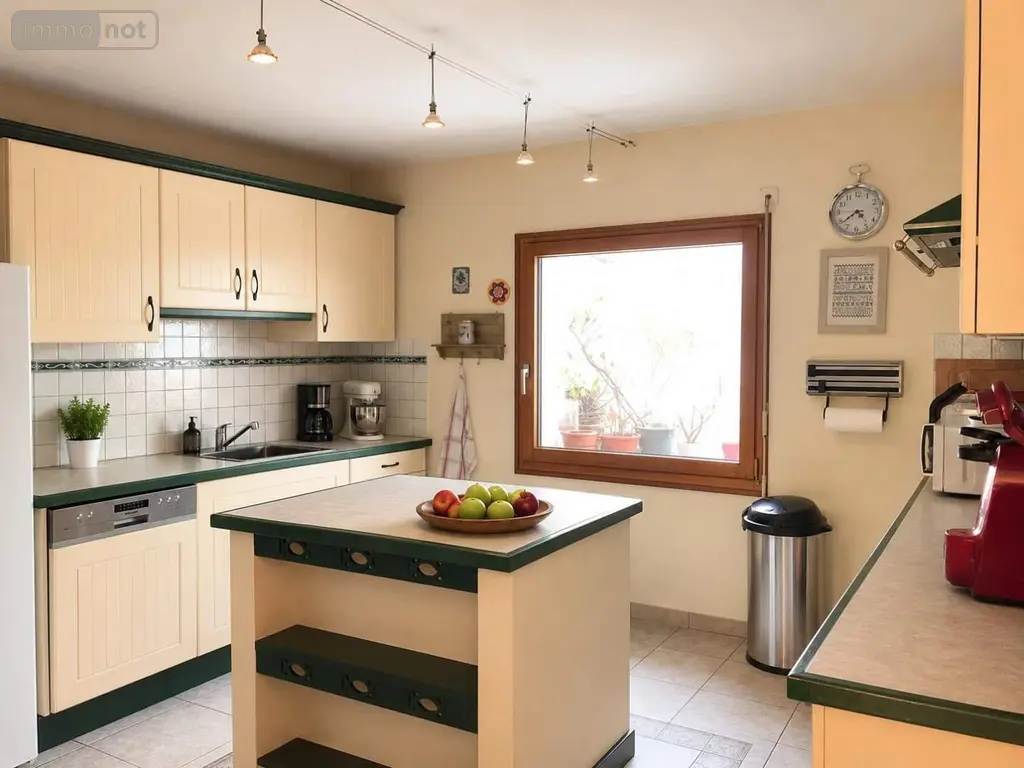 Maison a vendre Naintré 86530 Vienne 86 217 m2 4 pièces 280000 euros 018/1031 006
