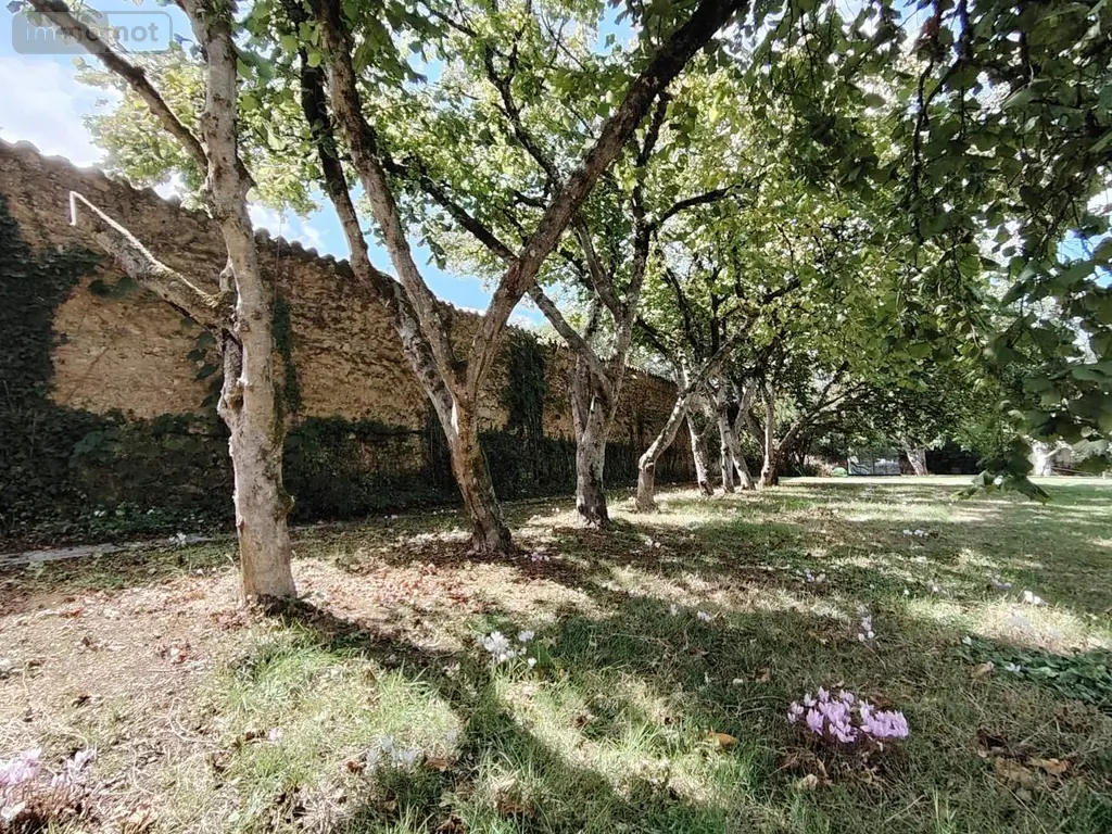 Maison a vendre Saint-Benoît 86280 Vienne 86 129 m2 5 pièces 273000 euros 018/1013 007