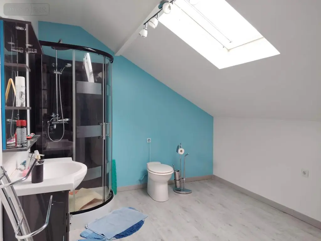 Maison a vendre Chasseneuil-du-Poitou 86360 Vienne 86 91 m2 4 pièces 222600 euros 018/1034 015