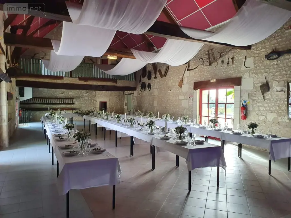 Propriete a vendre Martizay 36220 Indre 36 271 m2 10 pièces 699000 euros 018/1029 018