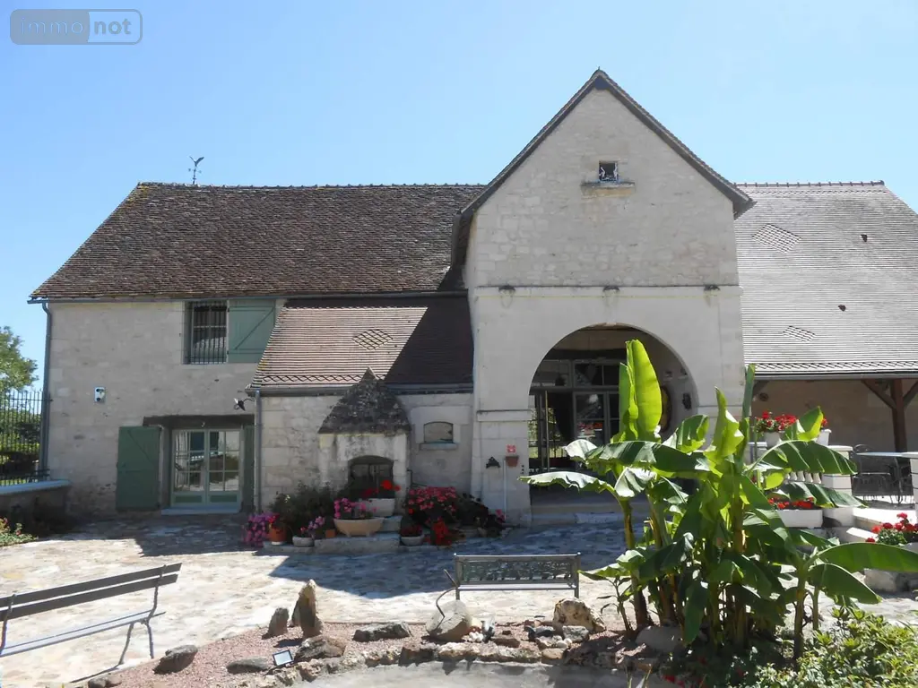 Propriete a vendre Martizay 36220 Indre 36 271 m2 10 pièces 699000 euros 018/1029 003