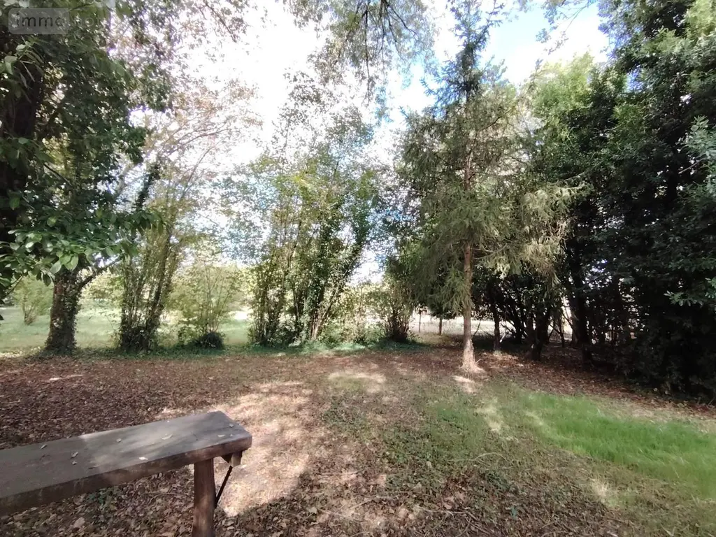 Terrains de loisirs bois etangs a vendre Naintré 86530 Vienne 86 18500 euros 018/1044 011
