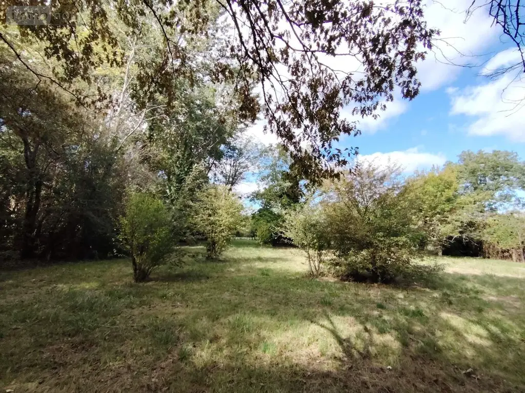 Terrains de loisirs bois etangs a vendre Naintré 86530 Vienne 86 18500 euros 018/1044 013