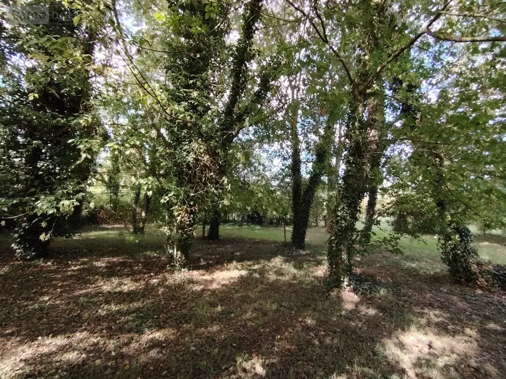 Terrains de loisirs bois etangs a vendre Naintré 86530 Vienne 86 18500 euros 018/1044 015