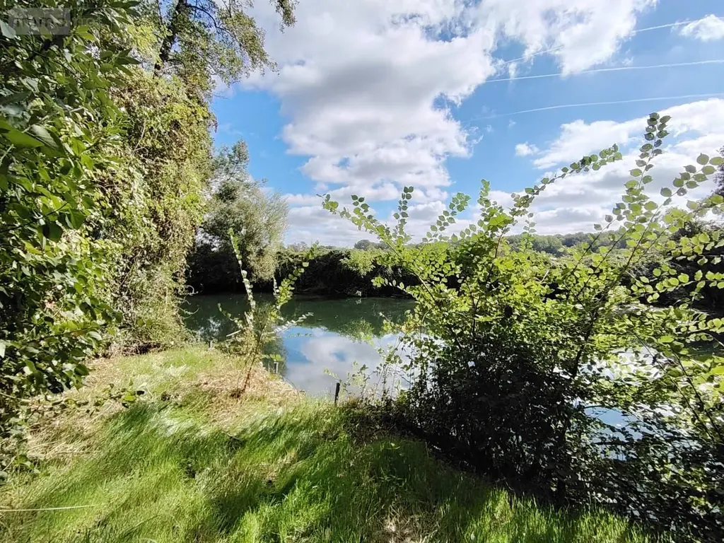 Terrains de loisirs bois etangs a vendre Naintré 86530 Vienne 86 18500 euros 018/1044 004