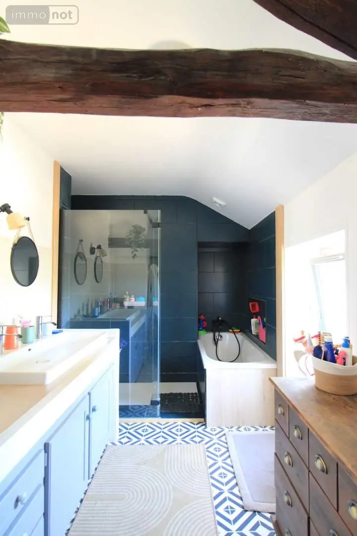 Maison a vendre Vouillé 86190 Vienne 86 196 m2 6 pièces 385000 euros V1991 009